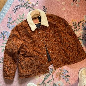 Levi’s Quilted Lined Corduroy Trucker Jacket Leopard 2x - orig $98 - sold out!